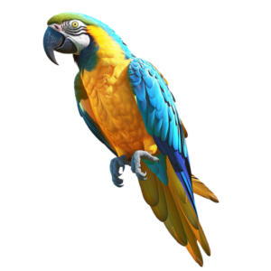 macaw parrots for sale